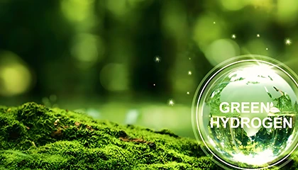 Holistic Green Hydrogen Solution